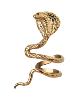 Reputation Album Snake Ear Cuff