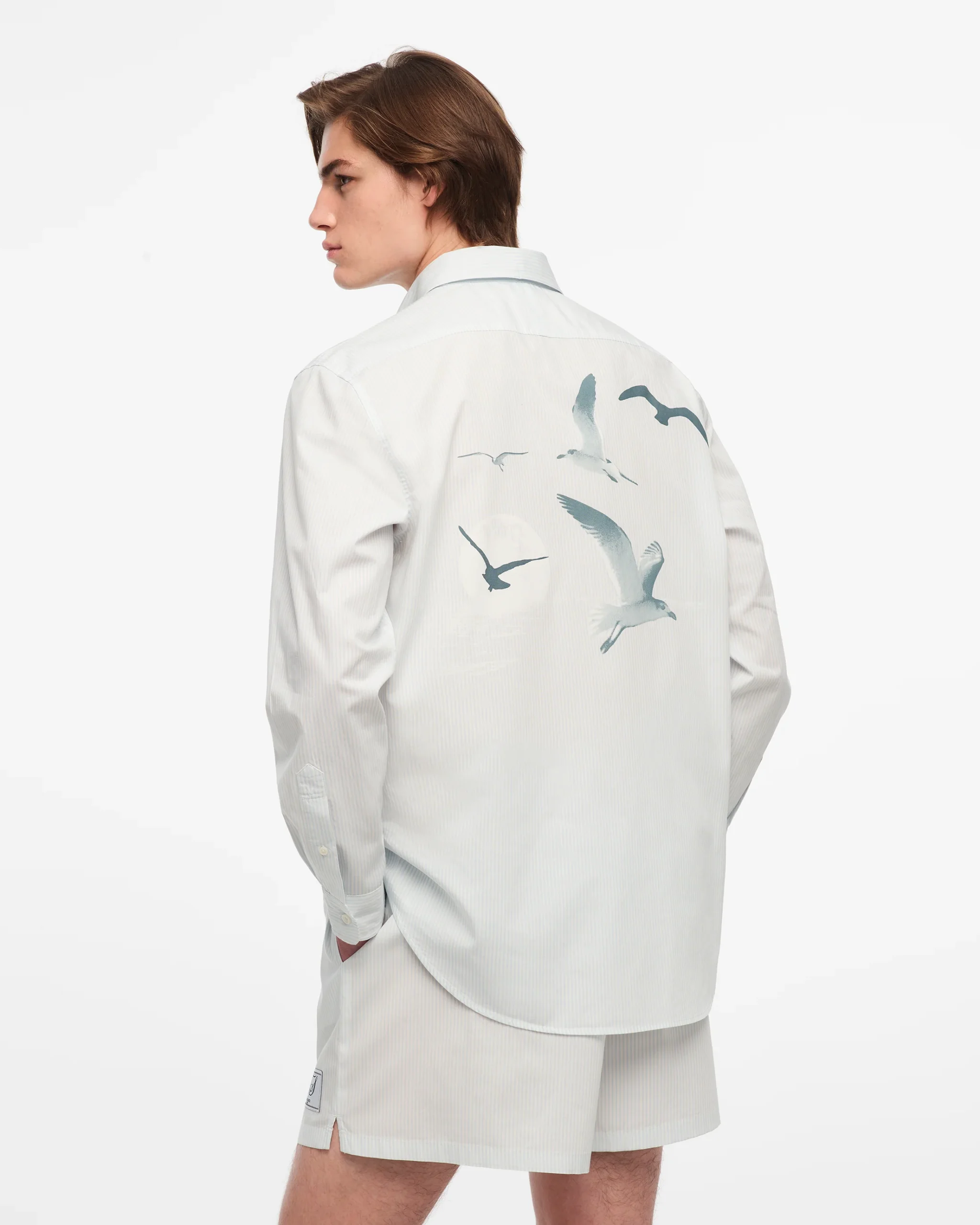 1989 (Taylor’s Version) Seagull Blue Stripe Poplin Shirt Regular price - Image 7