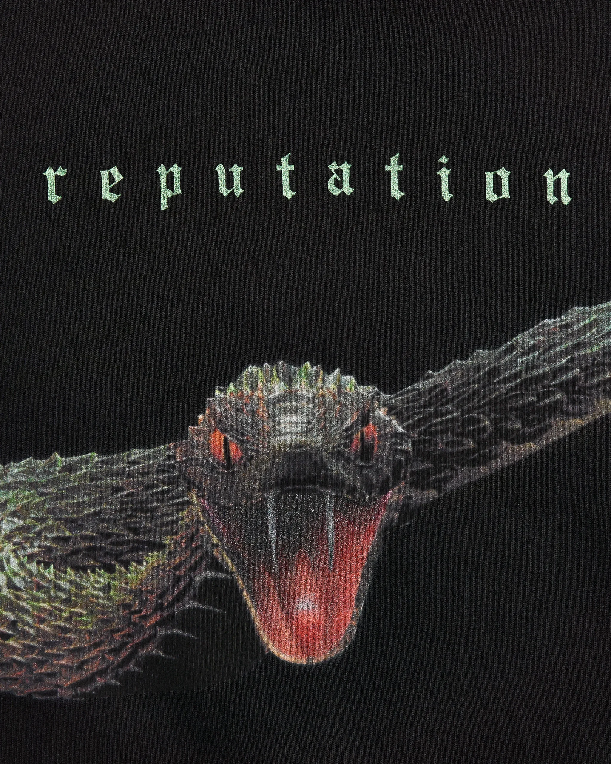 Reputation Album Snake Hoodie - Image 4
