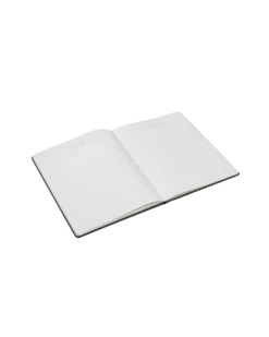 Alternative view of The Tortured Poets Department Journal