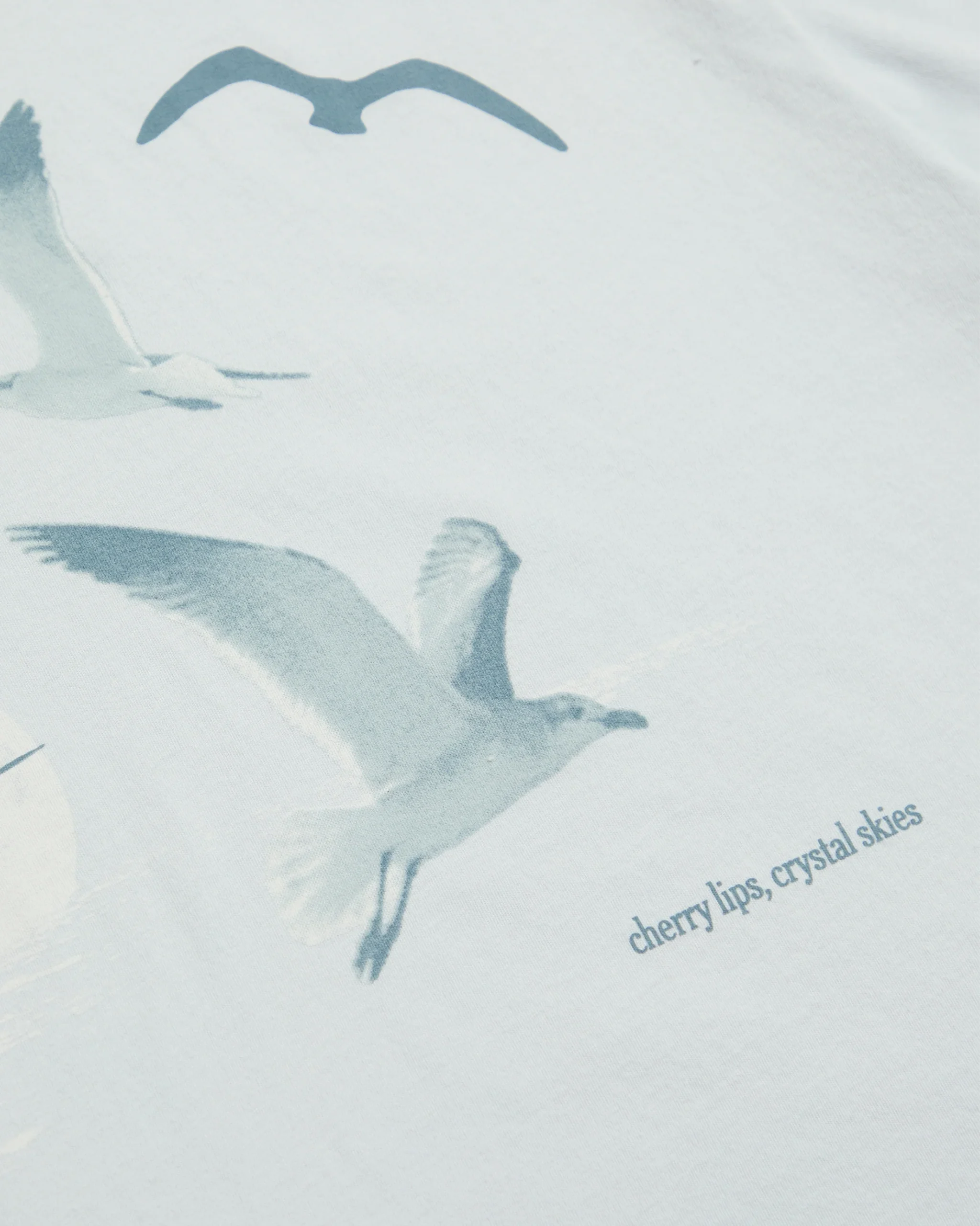 1989 (Taylor’s Version) Seagull Boxy T-Shirt - Image 2