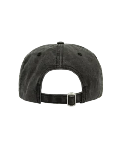 Alternative view of TS Washed Black Dad Hat