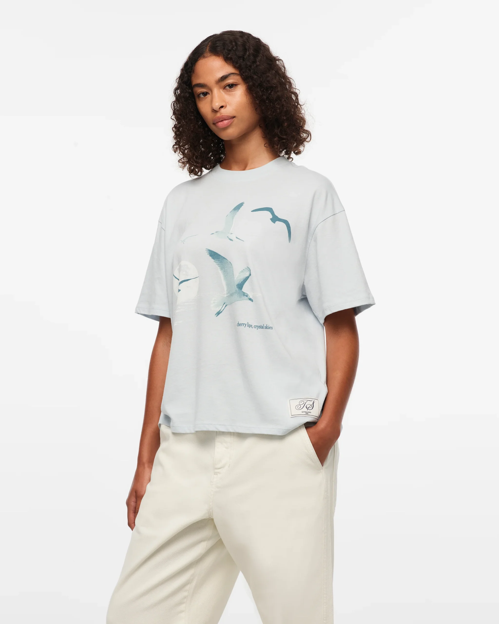1989 (Taylor’s Version) Seagull Boxy T-Shirt - Image 7