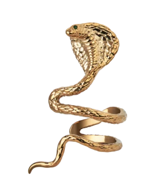 Reputation Album Snake Ear Cuff